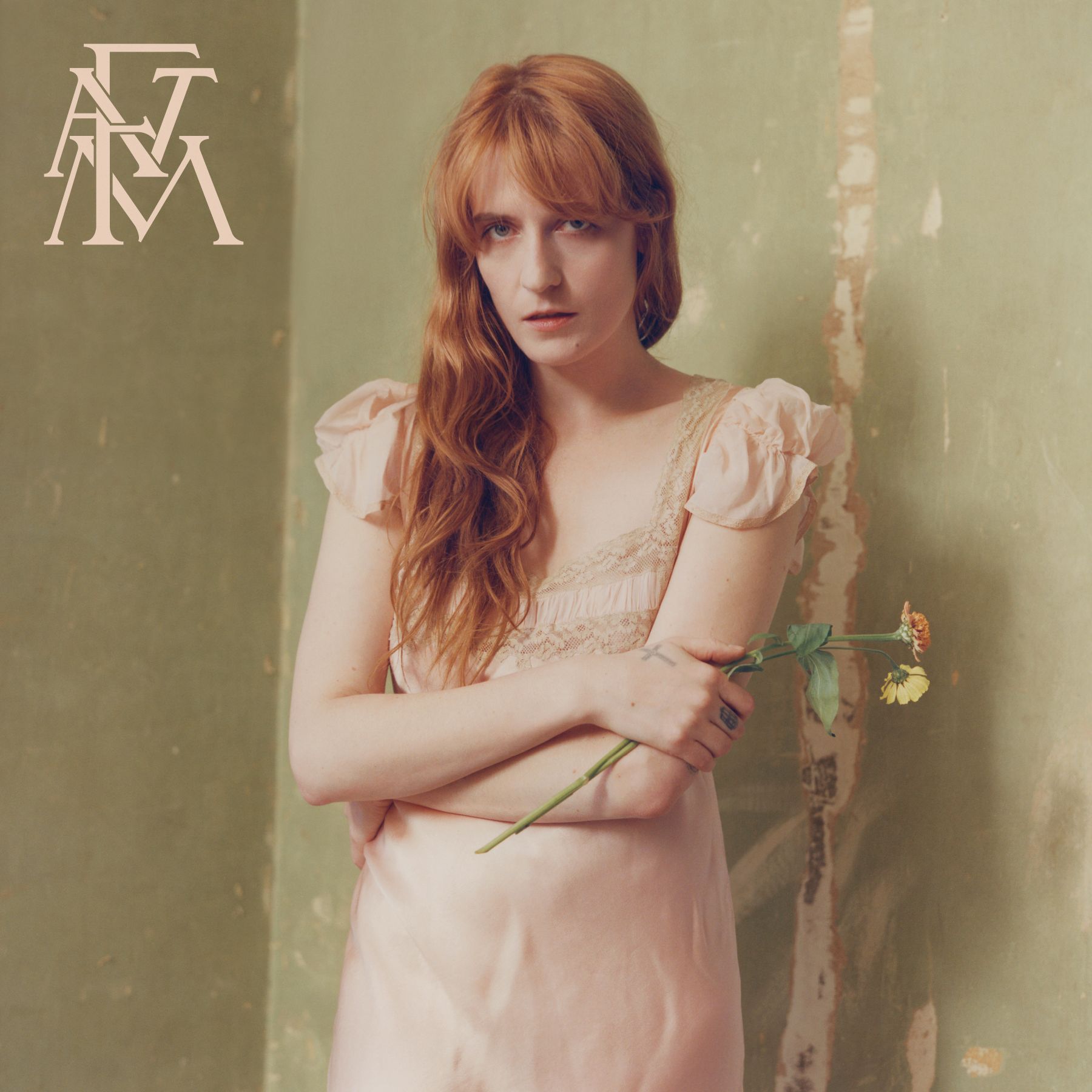 Florence and the machine_cover album HIGH AS HOPE_m